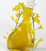 Rapeseed Oil