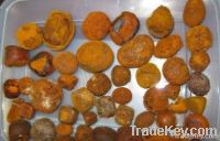 Cattle Gallstones/Ox Gallstones