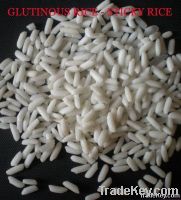 Glutinous rice