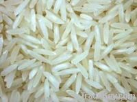  Rice | Rice Exporter | Rice Distributor | Rice Wholesaler | Rice Supplier | Rice Importer | Basmati Rice | Rice For Sale | Long Grain Rice Exporter | Buy Rice Online | Rice For Sale | Basmati Rice Exporter | Basmati Rice Wholesaler | Long Grain Rice buye
