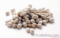 White beans