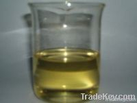 Rosemary oil, Herbal Antioxidant