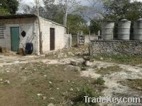Rancho Ganadero en venta en Yucatan Mexico