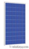 Solar module / Risen Energy