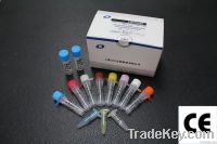HPV 16&18 Real Time PCR Kit