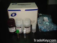 RNA Isolation Kit