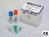 Influenza virus B Real Time RT-PCR Kit