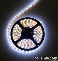 LED SMD 3528 & 5050 flexible strips