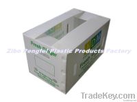 https://es.tradekey.com/product_view/Agricultural-Products-Exporting-Use-Packing-Container-Made-Of-Pp-Corrugated-Sheet--2195570.html