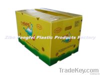 Ginger exporting use packing box made of pp corrugated  board