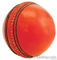 Cricket Hard Balls