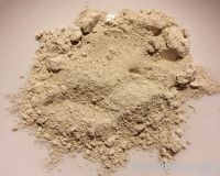 Diatomite Powder