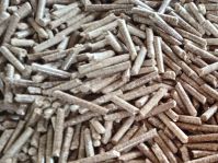 Wood Pellet