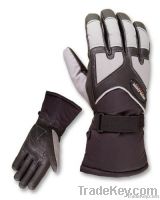 Ski Gloves