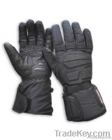 Ski Gloves