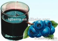 Wild pure blueberry juice concentrate (65bix)