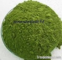 Moringa Oleifera powder