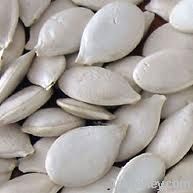 Pumpkin Seeds Volga Grey