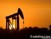Urea, Crude Oil, Sunflower Oil, Bitumen, Dap, Npk, D2, Jp54,