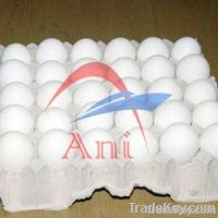 https://ar.tradekey.com/product_view/Chicken-Eggs-2176251.html
