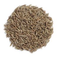 Indian Cumin