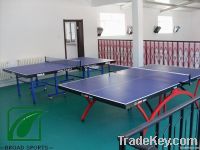 Indoor Table Tennis sports pvc flooring