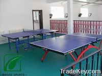 Indoor Table Tennis Sports Pvc Flooring