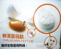 Ovalbumin Peptide