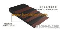 Multi-Ply Fabric (EP/NN/CC) Conveyor Belt