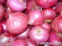 Fresh Red Onion