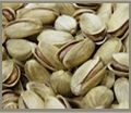 https://www.tradekey.com/product_view/-atilde-itlak-roasted-Pistachio-Pistachio-Home-Home-atilde-itlak-2220289.html