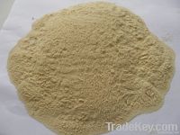 Sell hot cellulase enzyme for animal feed additive