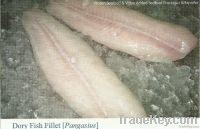 Aisland Dory Fish Fillet