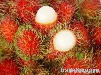 Rambutan