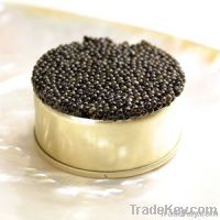 https://fr.tradekey.com/product_view/Caviar-2199065.html