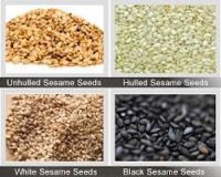 sesame seeds,chia seeds,coriander ,sunflower seeds,flax seeds,Anise Seeds