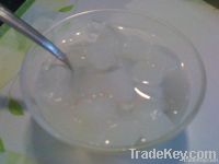 coconut jelly