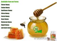 Organic fair trade honey