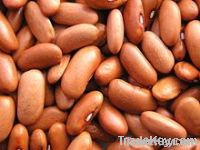 Kidney Beans