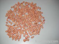 DRY RED PEANUTS