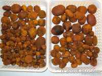 Cow bezoar - Ox Gallstones | Top Quality - Factory Price