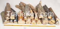 Mammoth ivory lot (Mammuthus primigenius) - sample lot