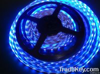 3528/5050 LED Strip Light/5050 blue