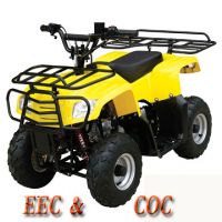 EPA ATV SCOOTER (WL-ATV090AB) GASOLINE MOTOR