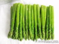 https://www.tradekey.com/product_view/Frozen-Fresh-Green-Asparagus-2229603.html