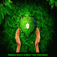 Rabeya Bosry Golden Tree Plantation