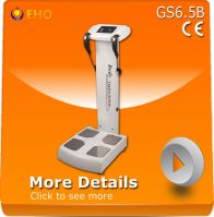 HOT!!!New GS6.5B body composition health analyzer(eho/made in china)