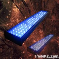 Cree 120W Dimmable Led aquarium coral reef Light