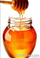 Natural Honey (100% Pure)