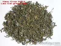 LAO CAI GREEN TEA( new crop 2012)